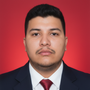 PATRICK AUGUSTO FERREIRA DA SILVA