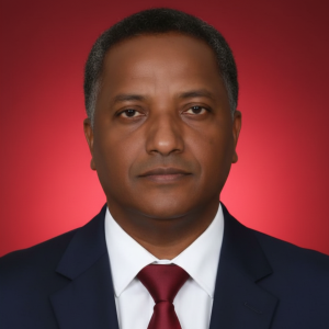 FRANCISCO DE ASSIS SANTOS SILVA