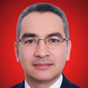 GILDSON SANTOS BRAGA